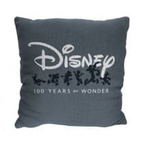 Image of 1 Pallet of Jacquard Pillows by Disney, 96 Units, New Condition, Ext. Retail $2,592, Bethlehem, PA