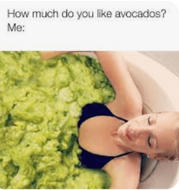 Image of Accessories